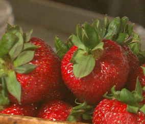 strawberries1 strawberries1