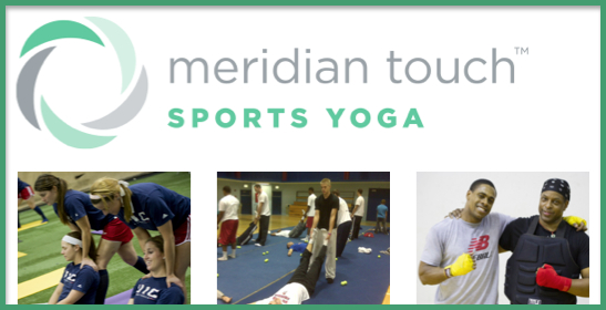 Meridian Touch Banner